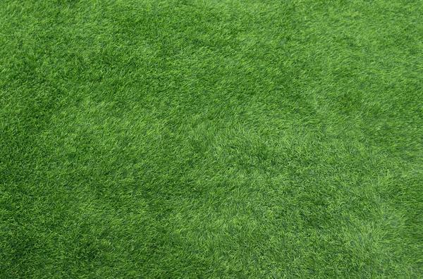 Why You Should Hire Certified Artificial Grass Installers