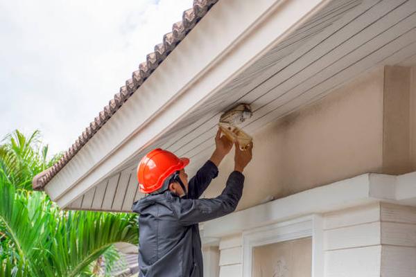 Looking for Roof Repairs Nearby Colony Roofers Offers Fast Service