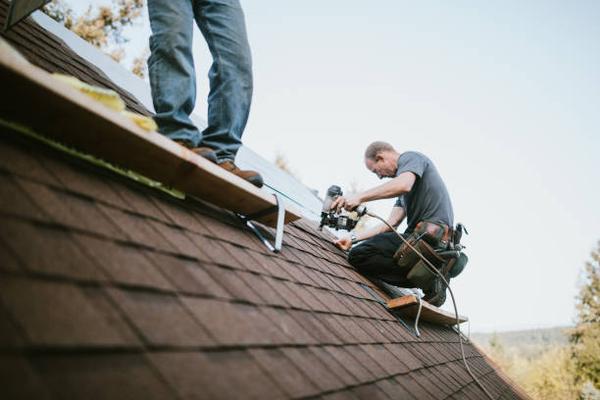 Signs You Need Professional Roofing Services for Your Property